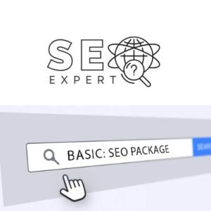 BASIC SEO BACKLINKS PACKAGE